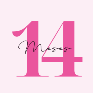 14 meses