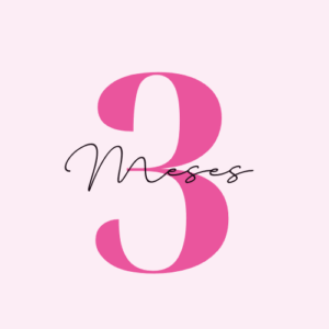 3 meses