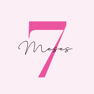 7 meses